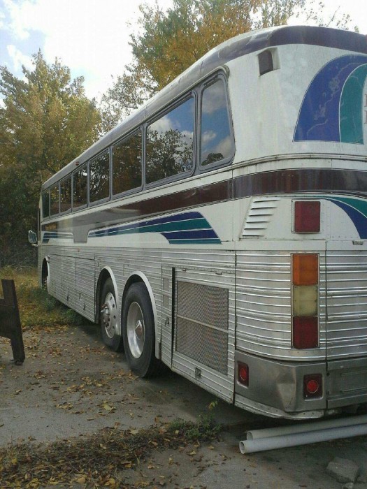 bus5.jpg